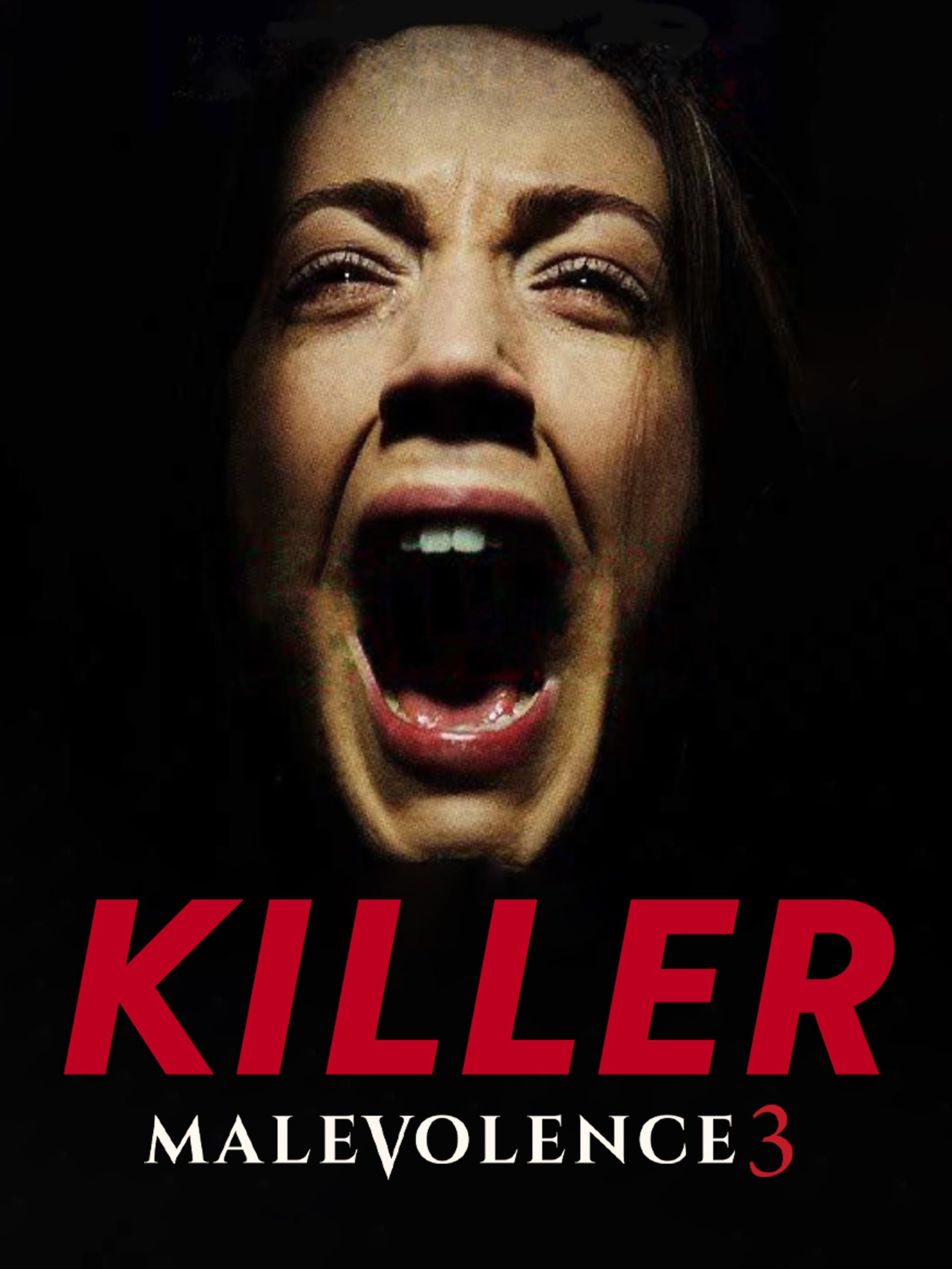 Malevolence 3: Killer (2018) BluRay [Hindi DD2.0 & English] Dual Audio 720p & 480p x264 ESubs HD | Full Movie
